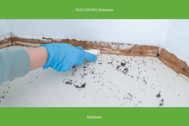 PEST CONTROL Middlesex